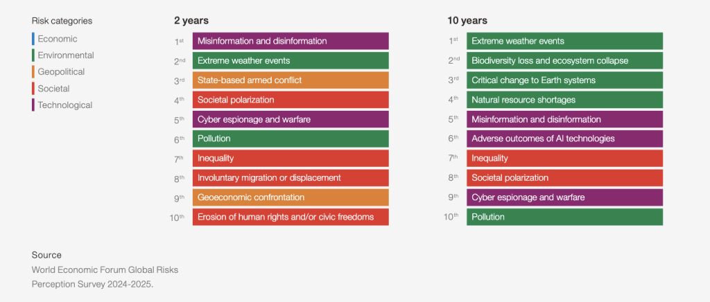 WEF Risks 2025